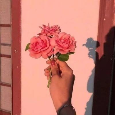 公主新生小宝贝游戏下载
